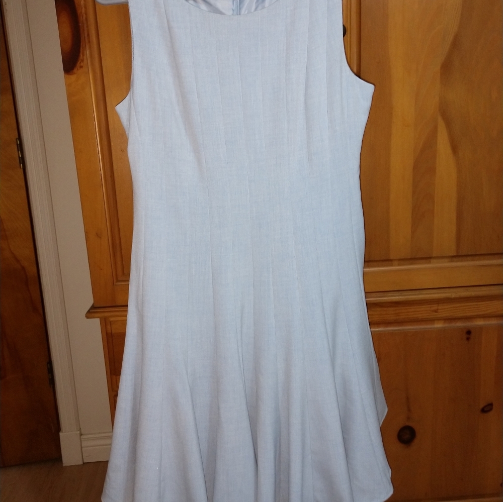 Calvin Clein Princess Seam Dress 10P